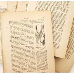 1893 Cottage Physician Victorian Ephemera Lot Of 300 Pcs Medical 1st Aid LGDWB3